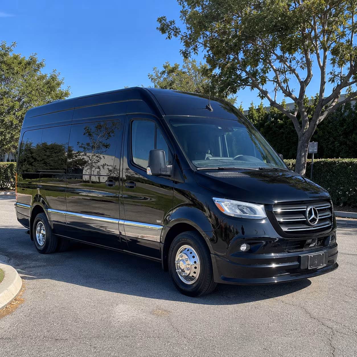 sterling heights 8 passenger sprinter van